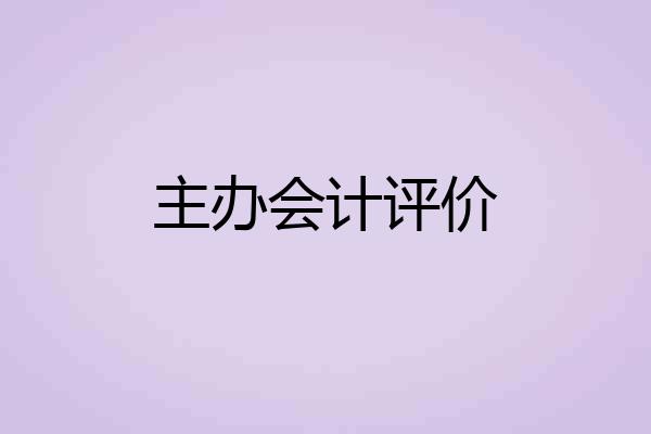主办会计评价