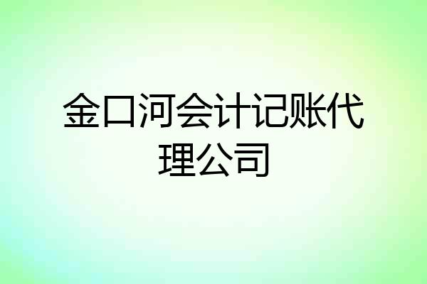 金口河会计记账代理公司