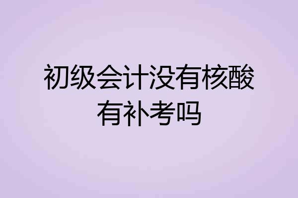 初级会计没有核酸有补考吗