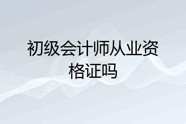 初级会计师从业资格证吗
