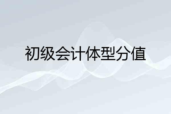 初级会计体型分值