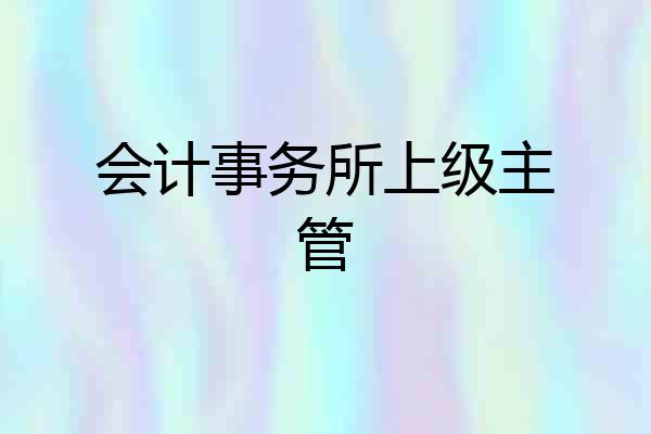 会计事务所上级主管