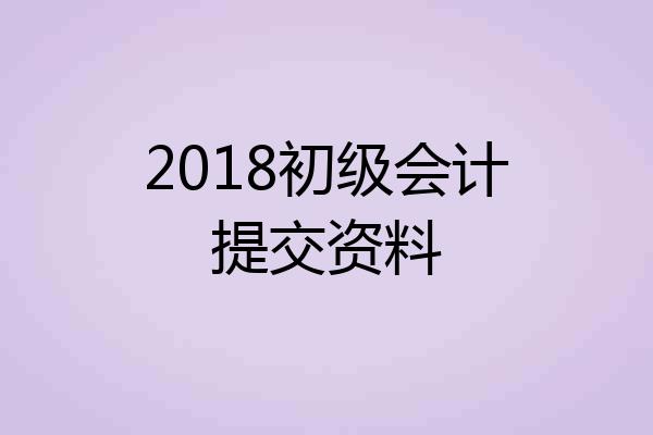 2018初级会计提交资料