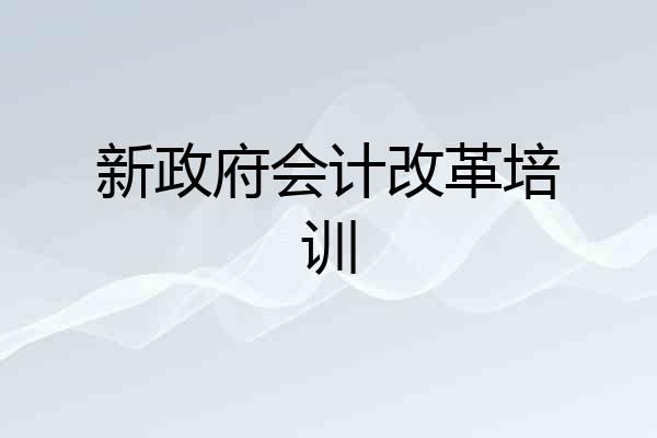 新政府会计改革培训