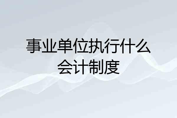 事业单位执行什么会计制度