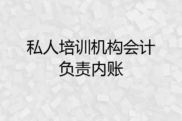 私人培训机构会计负责内账