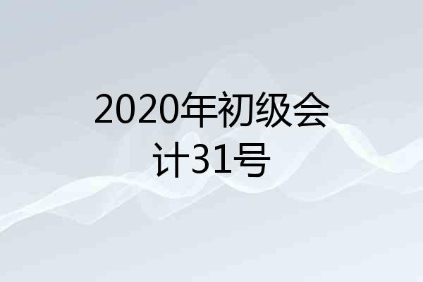 2020年初级会计31号