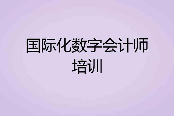 国际化数字会计师培训