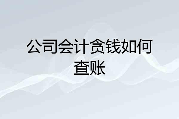 公司会计贪钱如何查账