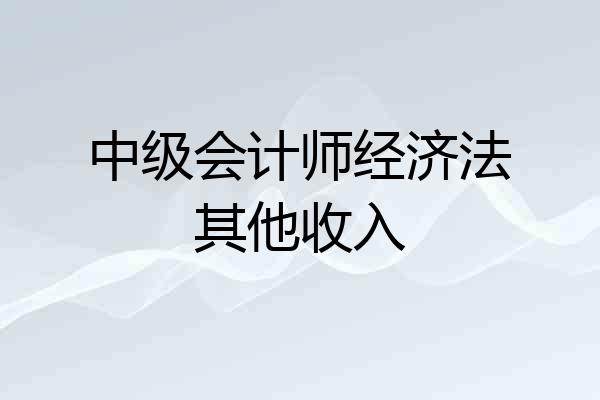 中级会计师经济法其他收入