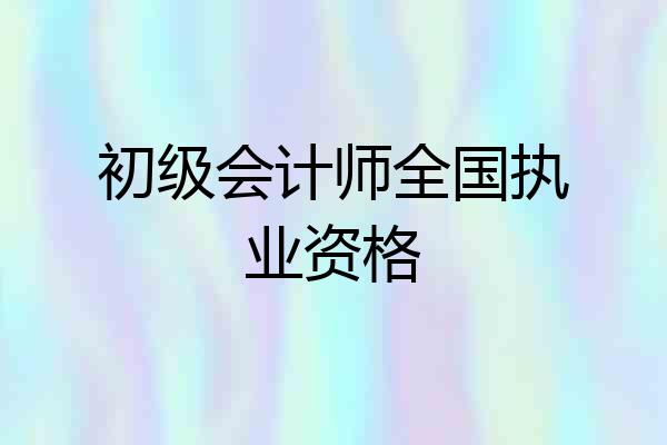 初级会计师全国执业资格