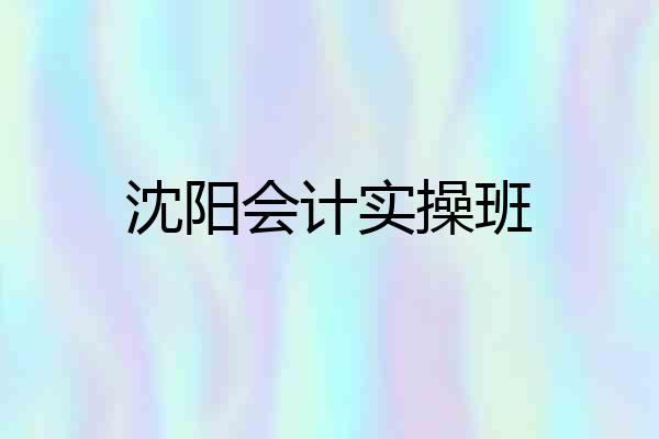 沈阳会计实操班