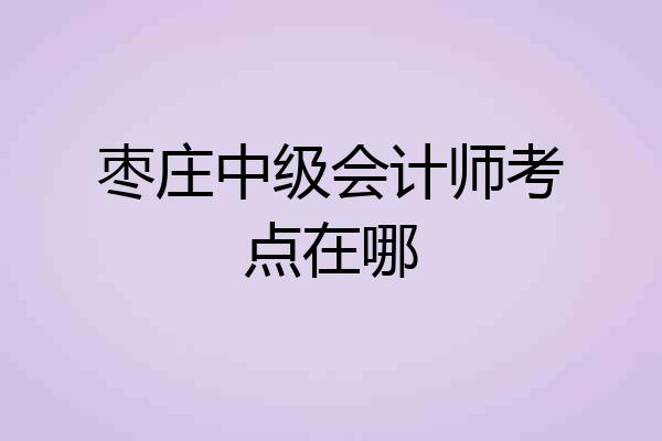 枣庄中级会计师考点在哪