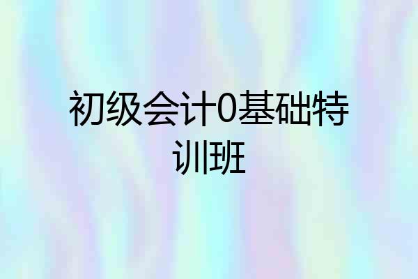 初级会计0基础特训班
