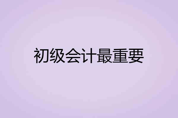 初级会计最重要