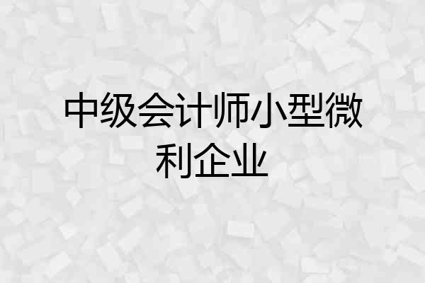中级会计师小型微利企业