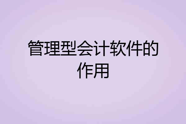 管理型会计软件的作用