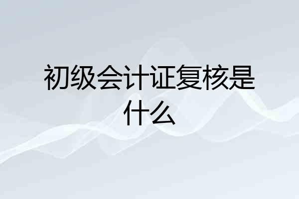 初级会计证复核是什么