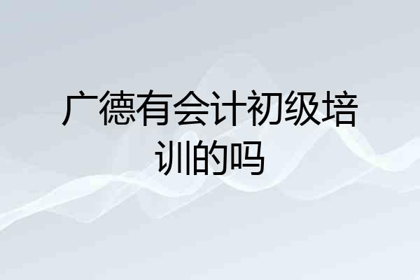 广德有会计初级培训的吗