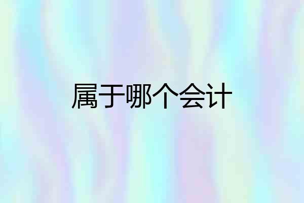 属于哪个会计