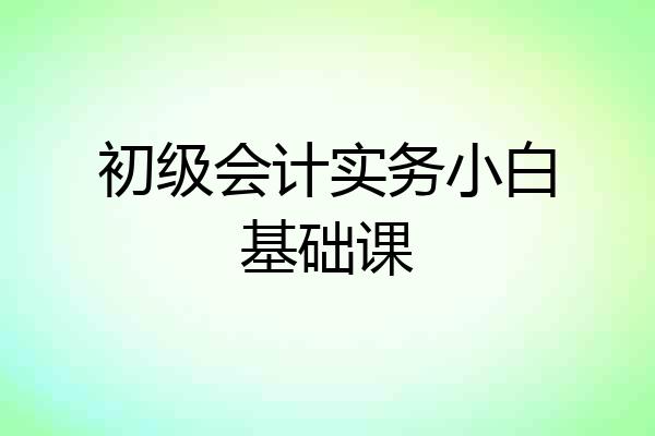 初级会计实务小白基础课