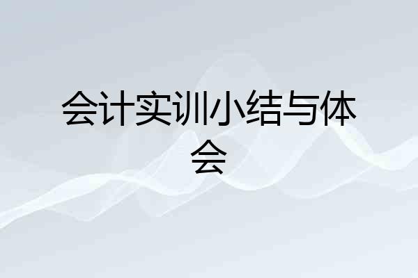 会计实训小结与体会