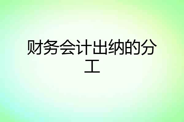 财务会计出纳的分工