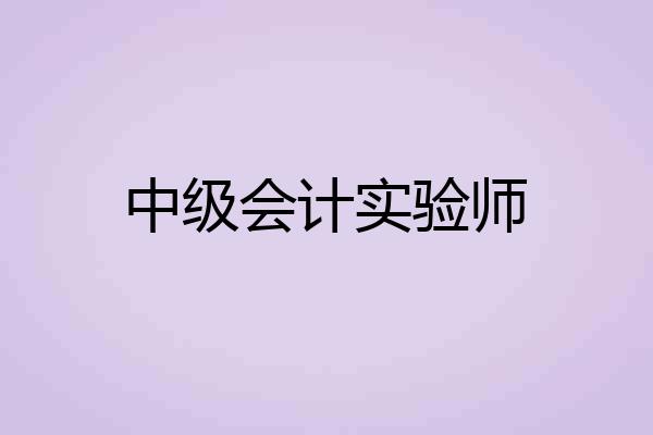 中级会计实验师