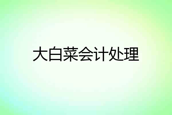 大白菜会计处理