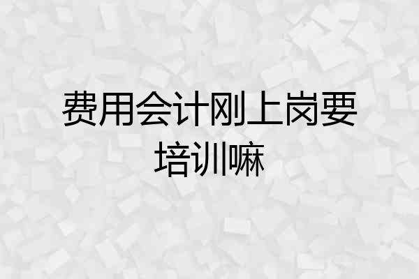 费用会计刚上岗要培训嘛