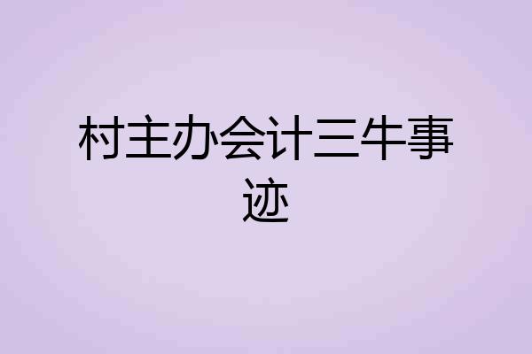 村主办会计三牛事迹