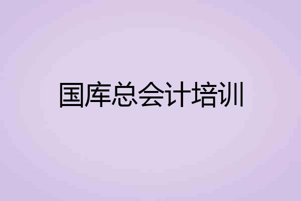 国库总会计培训