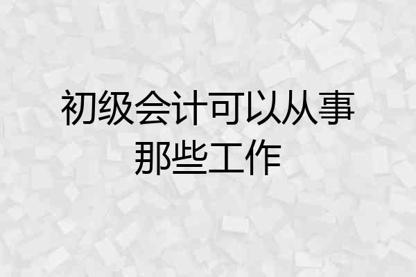 初级会计可以从事那些工作