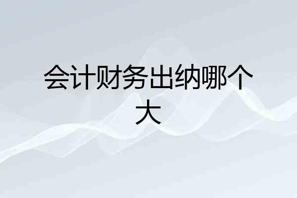 会计财务出纳哪个大