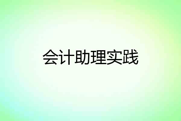 会计助理实践