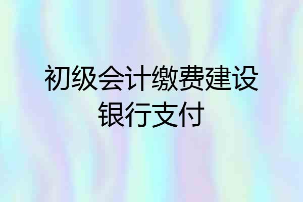 初级会计缴费建设银行支付