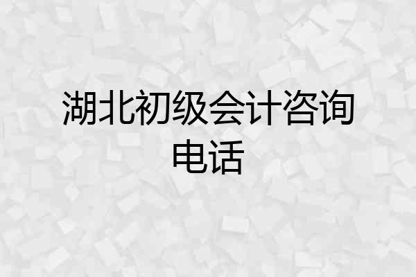 湖北初级会计咨询电话