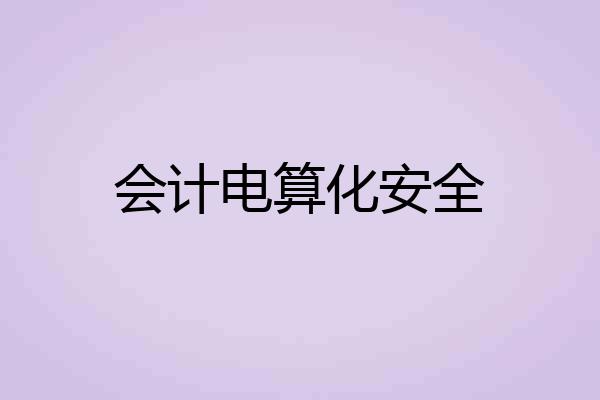 会计电算化安全