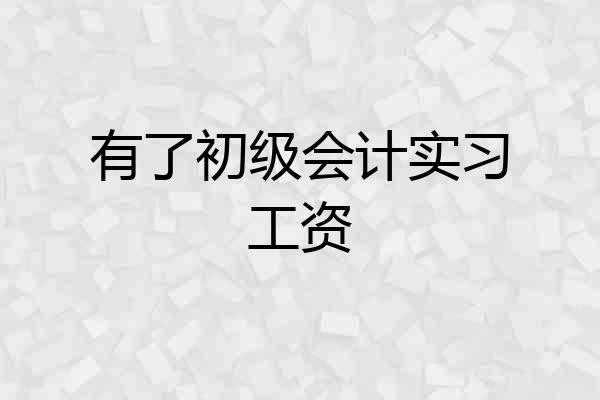 有了初级会计实习工资