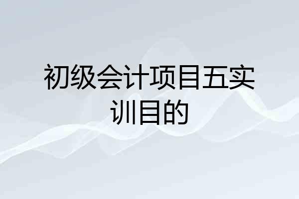 初级会计项目五实训目的