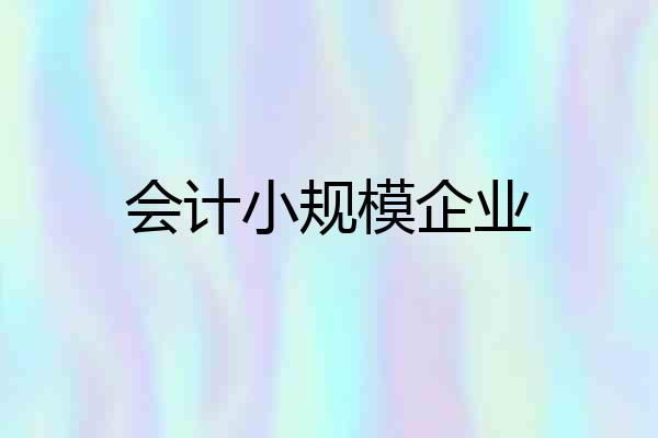 会计小规模企业