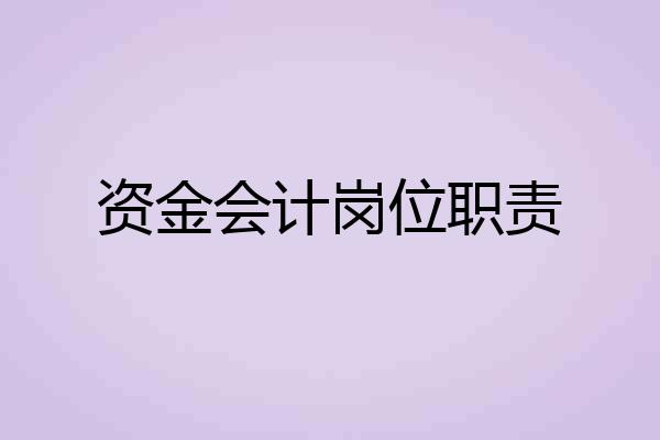 资金会计岗位职责