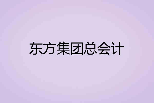 东方集团总会计