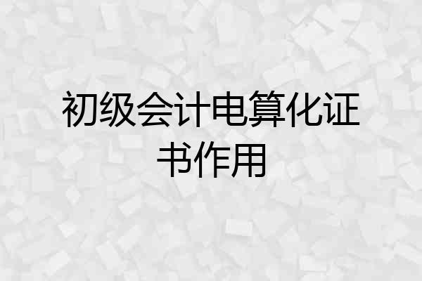 初级会计电算化证书作用