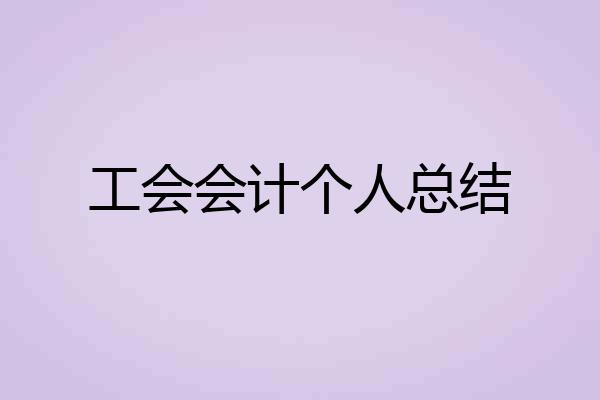 工会会计个人总结