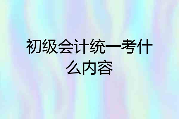 初级会计统一考什么内容