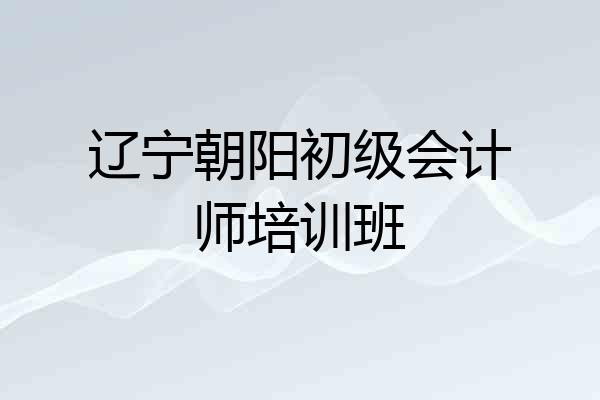 辽宁朝阳初级会计师培训班