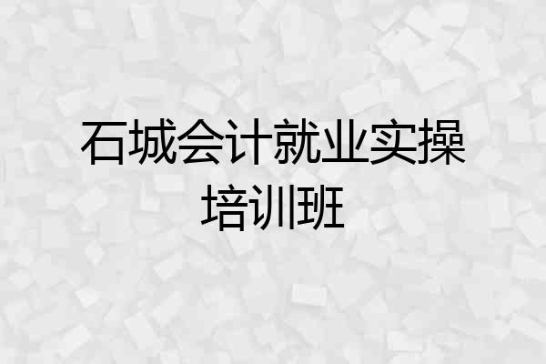石城会计就业实操培训班