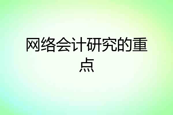 网络会计研究的重点