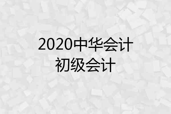 2020中华会计初级会计